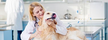 Veterinary